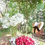 B&B D'hotes Les Magnolias