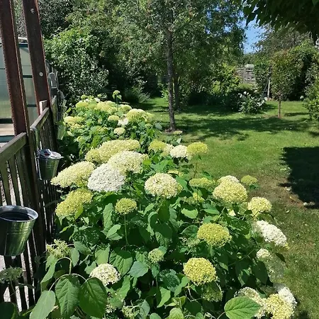 D'hotes Les Magnolias Отель типа 