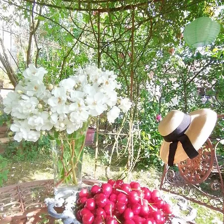 Bed & Breakfast D'hotes Les Magnolias