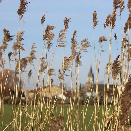 D'hotes Les Magnolias Отель типа 