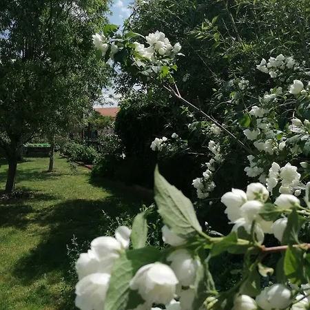 לינה וארוחת בוקר D'hotes Les Magnolias *