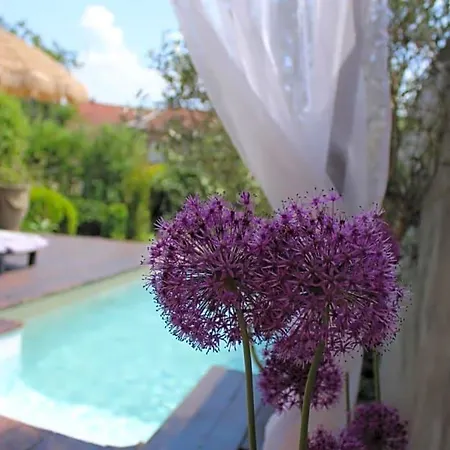 Bed and breakfast D'hotes Les Magnolias Pontpierre