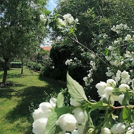Отель типа 