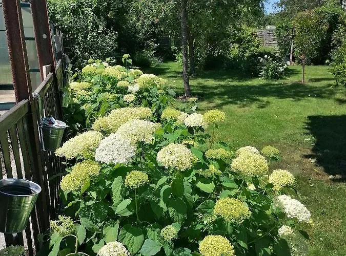 D'hotes Les Magnolias Bed & Breakfast 3*