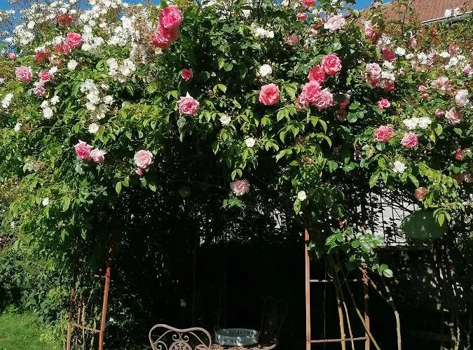 D'hotes Les Magnolias Bed & Breakfast Pontpierre