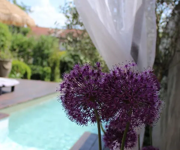 Bed & Breakfast D'hotes Les Magnolias 3*