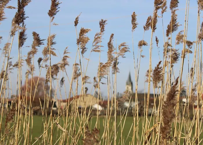 D'hotes Les Magnolias Panzió