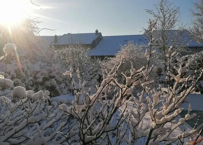 Bed & Breakfast D'hotes Les Magnolias 3*