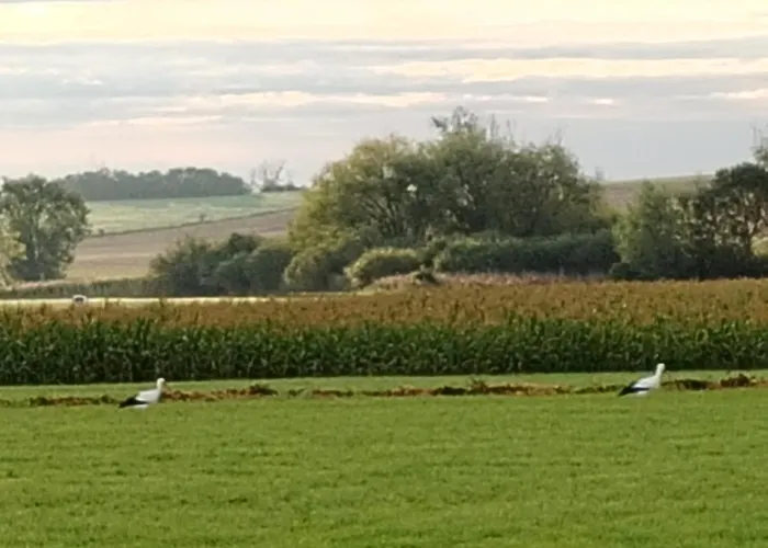 D'hotes Les Magnolias 3*