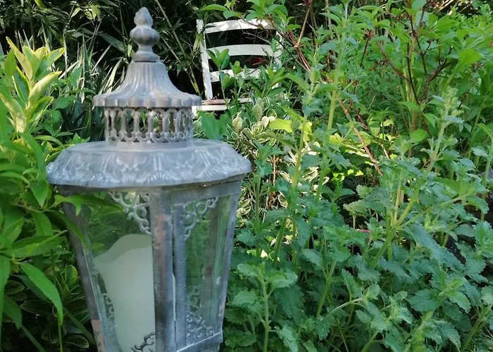 Bed & Breakfast D'hotes Les Magnolias Pontpierre