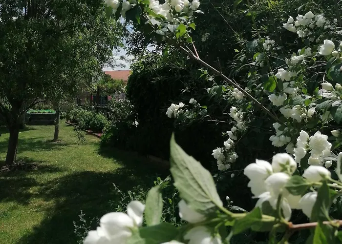 Bed & Breakfast D'hotes Les Magnolias 3*